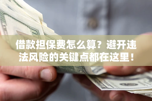 济南借款担保费怎么算？避开违法风险的关键点都在这里！