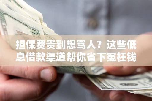 济南担保费贵到想骂人？这些低息借款渠道帮你省下冤枉钱