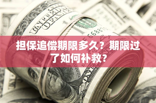 济南担保追偿期限多久？期限过了如何补救？
