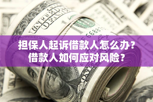 济南担保人起诉借款人怎么办？借款人如何应对风险？