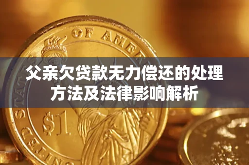 济南父亲欠贷款无力偿还的处理方法及法律影响解析